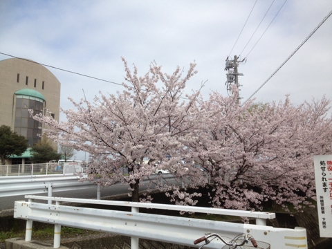 iPhoneImage.png