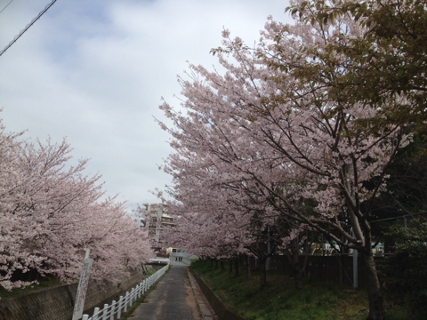 iPhoneImage.png