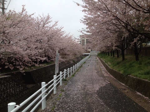 iPhoneImage.png