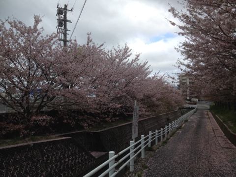iPhoneImage.png