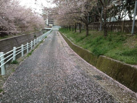 iPhoneImage.png
