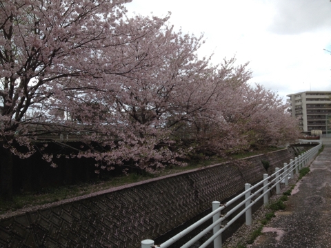 iPhoneImage.png