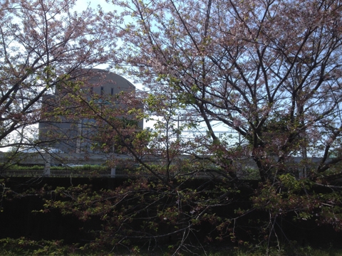 iPhoneImage.png