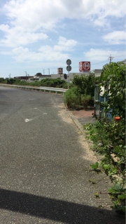 iPhoneImage.png