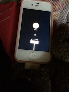 iPhoneImage.png