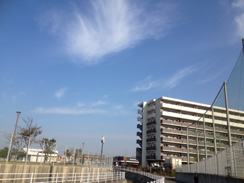 iPhoneImage.png