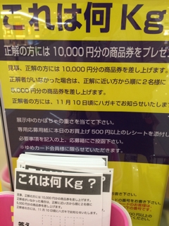 iPhoneImage.png