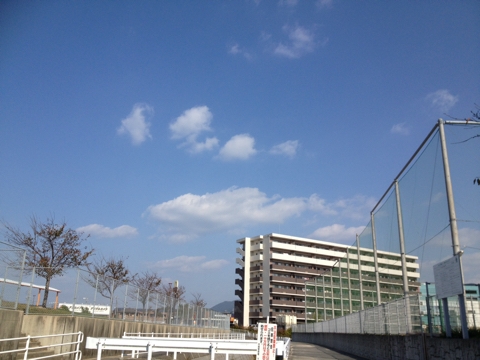 iPhoneImage.png