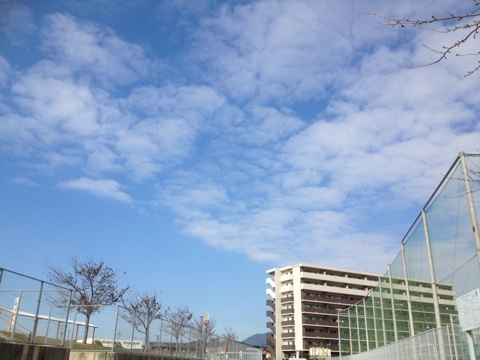 iPhoneImage.png