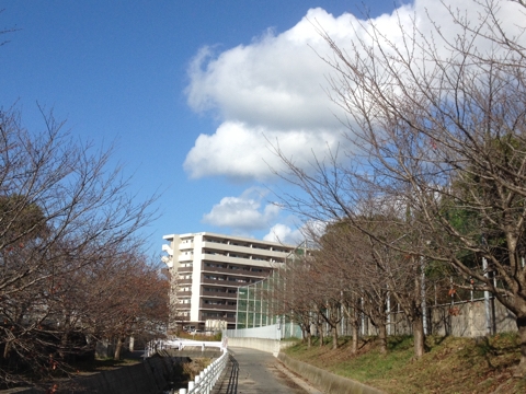 iPhoneImage.png
