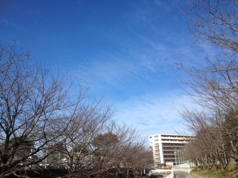 iPhoneImage.png