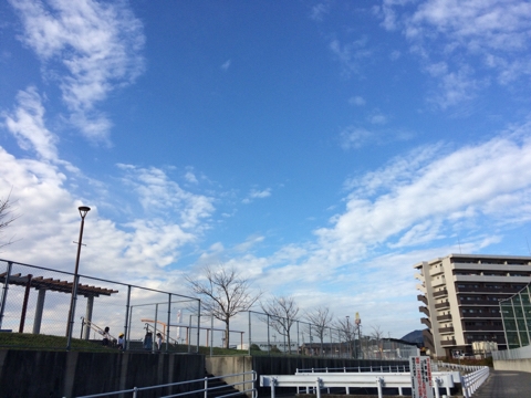 iPhoneImage.png