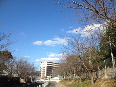 iPhoneImage.png
