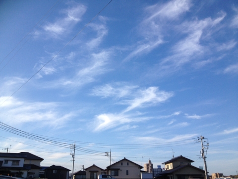 iPhoneImage.png