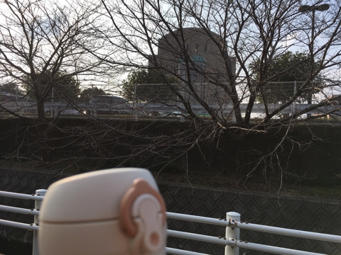 iPhoneImage.png