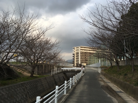 iPhoneImage.png