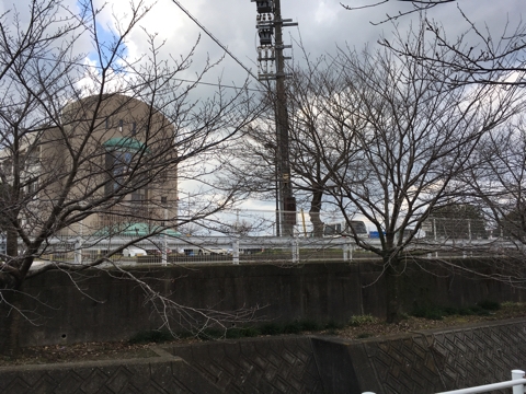 iPhoneImage.png