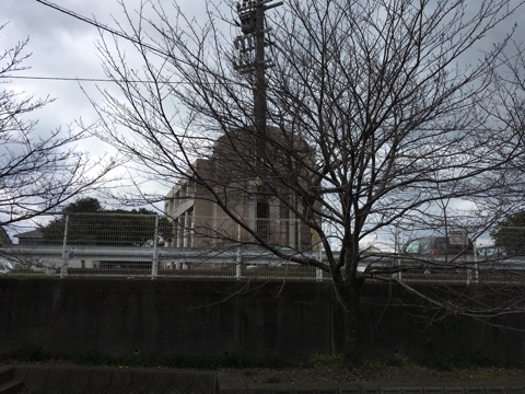 iPhoneImage.png