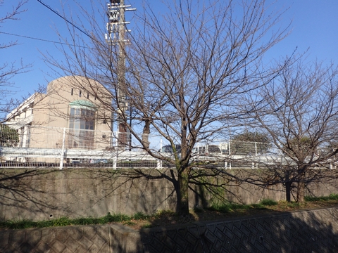 iPhoneImage.png