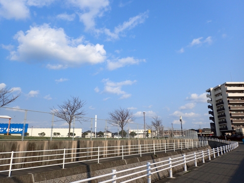 iPhoneImage.png