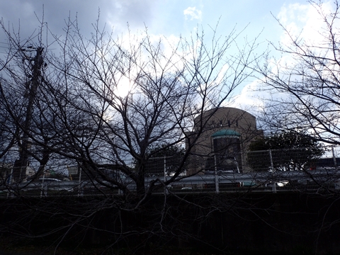 iPhoneImage.png