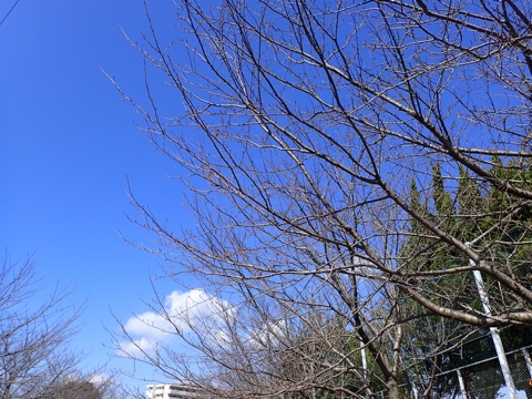 iPhoneImage.png