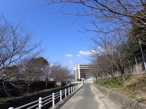 iPhoneImage.png