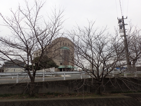 iPhoneImage.png