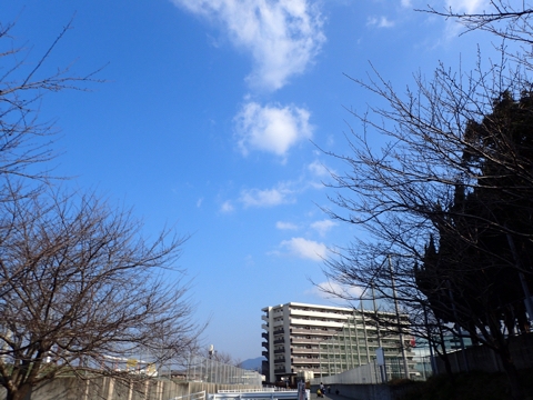 iPhoneImage.png