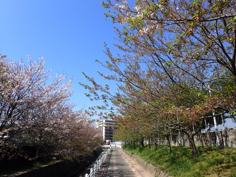 iPhoneImage.png