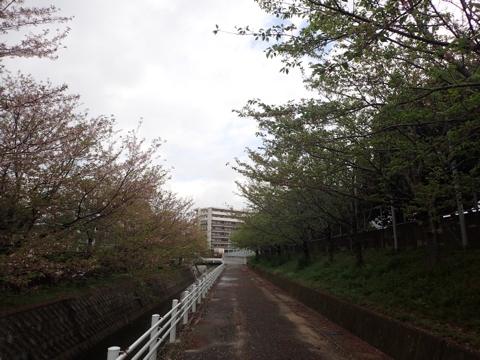 iPhoneImage.png