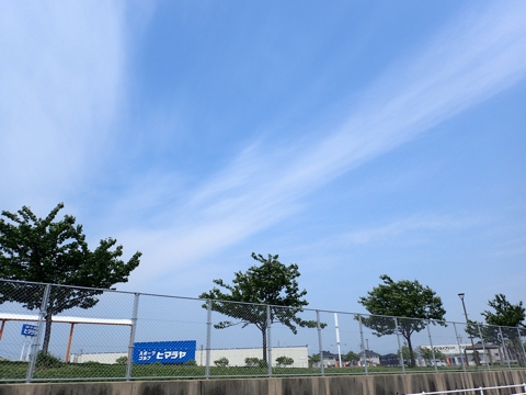 iPhoneImage.png