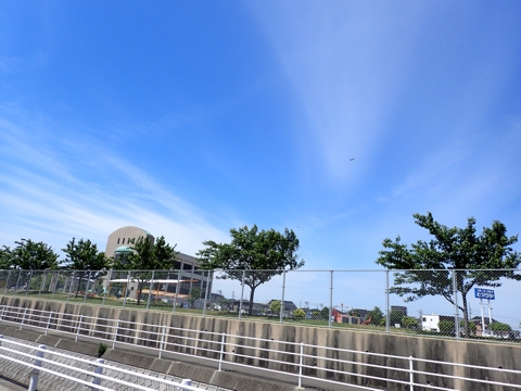 iPhoneImage.png