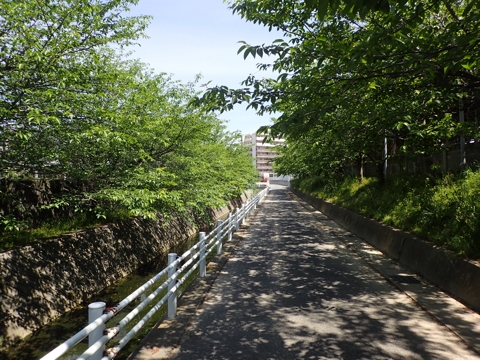 iPhoneImage.png