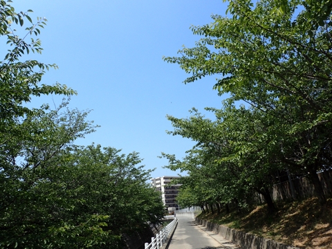 iPhoneImage.png