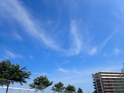 iPhoneImage.png