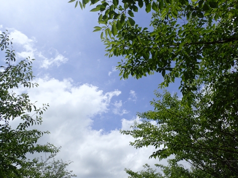 iPhoneImage.png