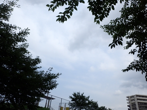 iPhoneImage.png