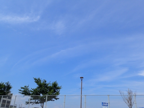 iPhoneImage.png