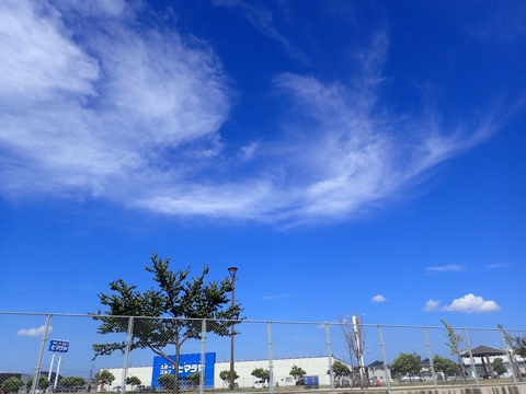 iPhoneImage.png