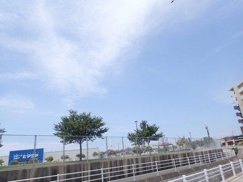 iPhoneImage.png