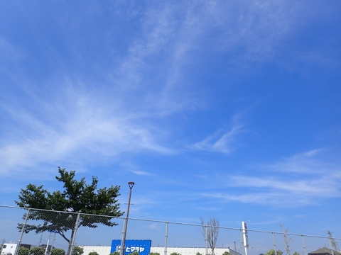 iPhoneImage.png