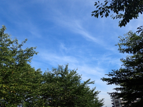 iPhoneImage.png