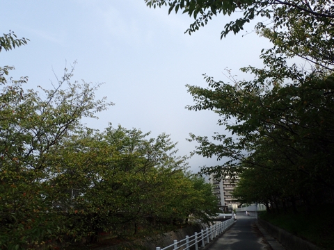 iPhoneImage.png