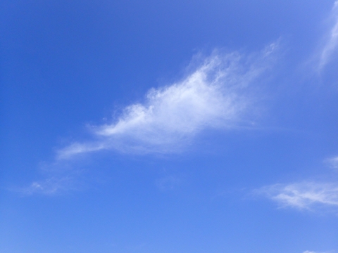 iPhoneImage.png