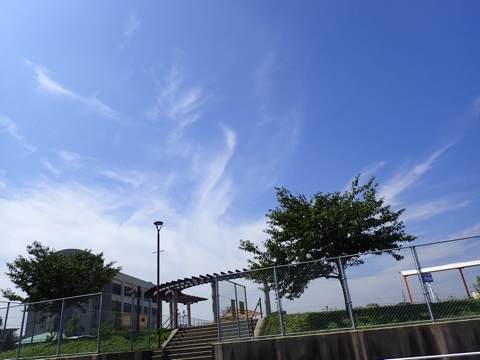 iPhoneImage.png