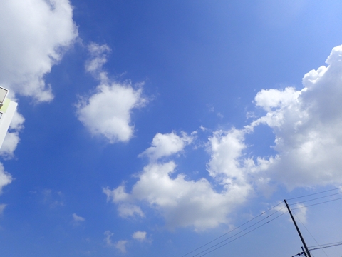 iPhoneImage.png