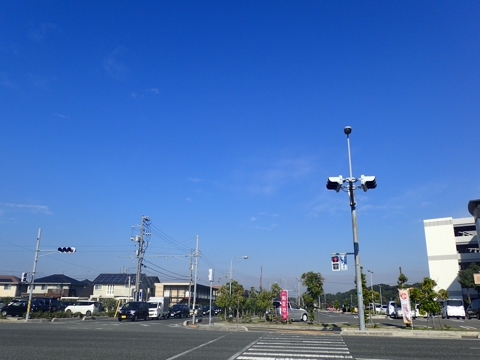iPhoneImage.png