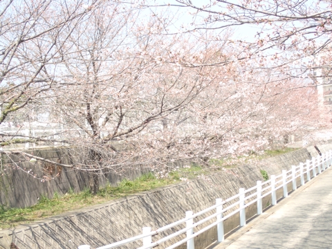 iPhoneImage.png