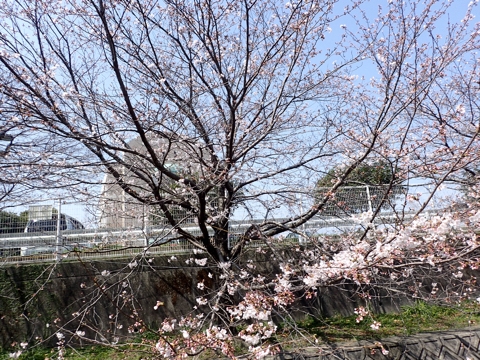 iPhoneImage.png